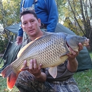 b8081fe6profilképe