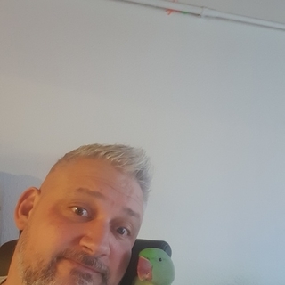 27eeeb5faae1profilképe