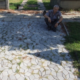 e69126f8profilképe