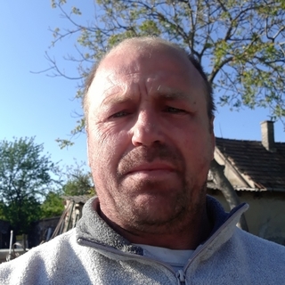 5dc2881b2635profilképe