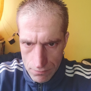 86dprofilképe