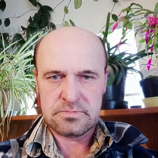 77dcf7profilképe